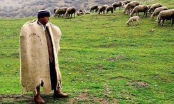 Nihat Çelik: Çobanların Sosyal Güvenlik Sorunları Çözülmelidir