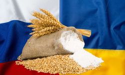 Tahıl Koridoru Çöktü! Batı’nın Gıda Sorunuyla Baş Etme Vakti…