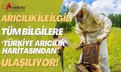 Arıcılık İle İlgili Tüm Bilgilere ‘Türkiye Arıcılık Haritasından’ Ulaşılıyor!