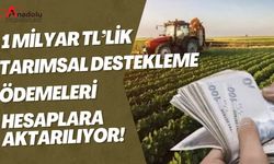1 Milyar TL’lik Tarımsal Destekleme Ödemeleri Hesaplara Aktarılıyor!