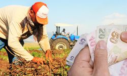 1 Milyar TL’lik Tarımsal Destekleme Ödemesi Hesaplara Aktarılıyor!
