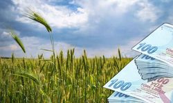 29 Milyon TL’lik Tarımsal Destekleme Ödemeleri Bugün Hesaplara Aktarılıyor!