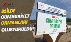 81 İlde Cumhuriyet Ormanları Oluşturuldu!