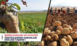 Şekerpancarı ve Patates Üreticilerinin Sorunları Meclise Taşındı!
