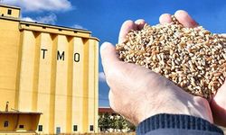 TMO'dan Buğday Hırsızlığı İle İlgili Açıklama: 1 Kişi Tutuklandı!
