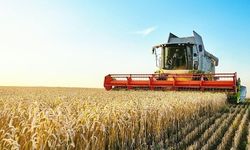 TÜİK Açıkladı: Tarımsal Girdi Fiyatlarında Artış Sürüyor mu?