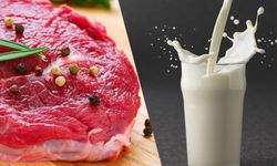 Nihat Çelik: Eti Sütü Üreten Biziz Fiyatları Belirleyen Başkaları