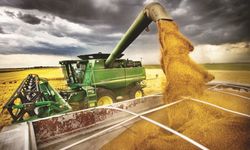 TÜİK Açıkladı: Tarımsal Üretimde Maliyetler Artıyor!