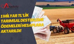 1 Milyar TL’lik Tarımsal Destekleme Ödemesi Hesaplara Aktarıldı!