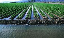 Toprak, Bitki ve Su Analizleri İle Çiftçilerin Maliyetleri Sıfırlanıyor!