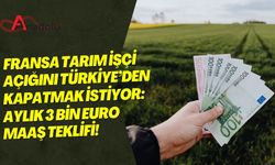 Fransa Tarım İşçi Açığını Türkiye’den Kapatmak İstiyor: Aylık 3 Bin Euro Maaş Teklifi!