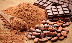 Çikolatasız Bir Dünya Mümkün mü? Kakao Krizi Büyüyor!