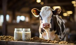 TÜSEDAD’dan Çiğ Süt İçin Rekabet Kurumu Uyarısı!