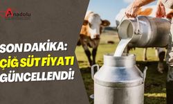 Son Dakika: Çiğ Süt Fiyatı Güncellendi!