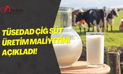 TÜSEDAD Çiğ Süt Üretim Maliyetini Açıkladı!