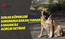 Sokak Köpekleri Sorununa Bakan Yumaklı 5 Madde İle Açıklık Getirdi!