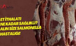 Et İthalatı Ne Kadar Sağlıklı? Alın Size Salmonella Hastalığı!