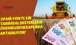 30 Milyon TL’lik Tarımsal Destekleme Ödemeleri Hesaplara Aktarılıyor!
