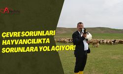 Çevre Sorunları Hayvancılıkta Sorunlara Yol Açıyor!