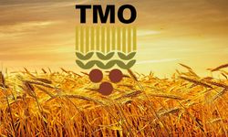 TMO Hububat Ödemelerini Hesaplara Aktarıyor!