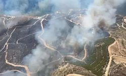 İzmir’de Çıkan Orman Yangınında 3 Kişi Hayatını Kaybetti