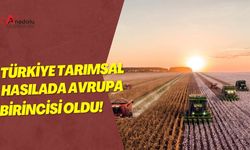 Türkiye Tarımsal Hasılada Avrupa Birincisi Oldu!