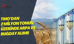 TMO’dan 2 Milyon Tonun Üzerinde Arpa ve Buğday Alımı!