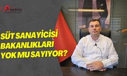 Süt Sanayicisi Bakanlıkları Yok mu Sayıyor?