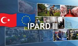 IPARD III Programı Üçüncü Başvuru Çağrı İlanı Yayımlandı!