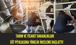 Tarım ve Ticaret Bakanlıkları Süt Piyasasına Yönelik İnceleme Başlattı!