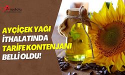 Ayçiçek Yağı İthalatında Tarife Kontenjanı Belli Oldu!