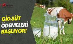 Çiğ Süt Ödemeleri Başlıyor!