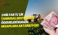 1 Milyar TL’lik Tarımsal Destekleme Ödemeleri Bugün Hesaplara Aktarılıyor!