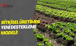 BİTKİSEL ÜRETİMDE YENİ DESTEKLEME MODELİ