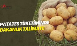 Patates Tüketiminde Bakanlık Talimatı!