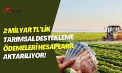 2 Milyar TL’lik Tarımsal Destekleme Ödemeleri Hesaplara Aktarılıyor!