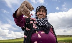 Bayraktar: Kadın Çiftçilerin Hayat Şartları İyileştirilmeli