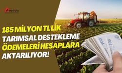 185 Milyon TL'lik Tarımsal Destekleme Ödemeleri Hesaplara Aktarılıyor!