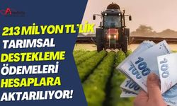 213 Milyon TL'lik Tarımsal Destekleme Ödemeleri Hesaplara Aktarılıyor!