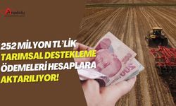 252 Milyon TL’lik Tarımsal Destekleme Ödemeleri Hesaplara Aktarılıyor!