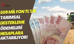 509 Milyon TL'lik Tarımsal Destekleme Ödemeleri Hesaplara Aktarılıyor!