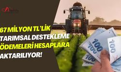 67 Milyon TL’lik Tarımsal Destekleme Ödemeleri Hesaplara Aktarılıyor!