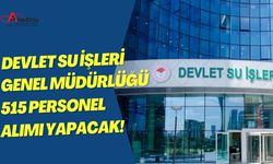 Devlet Su İşleri Genel Müdürlüğü 515 Personel Alımı Yapacak!