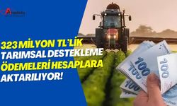 323 Milyon TL'lik Tarımsal Destekleme Ödemeleri Hesaplara Aktarılıyor!