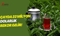 Çayda 22 Milyon Dolarlık Rekor Gelir!