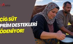 Çiğ Süt Prim Destekleri Ödeniyor!