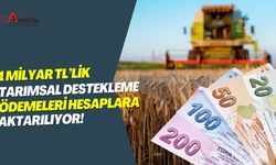 1 Milyar TL’lik Tarımsal Destekleme Ödemeleri Hesaplara Aktarılıyor!