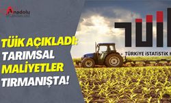 TÜİK Açıkladı: Tarımsal Maliyetler Tırmanışta!