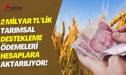 2 Milyar TL’lik Tarımsal Destekleme Ödemeleri Hesaplara Aktarılıyor!