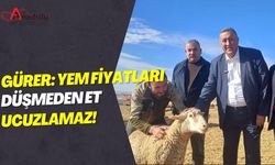 Gürer: Yem Fiyatları Düşmeden Et Ucuzlamaz!